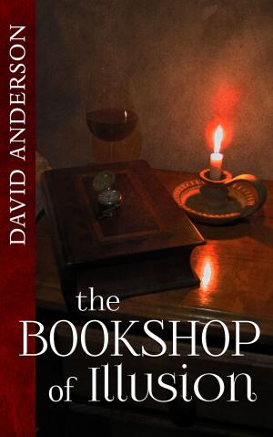Book cover of The Bookshop of Illusion