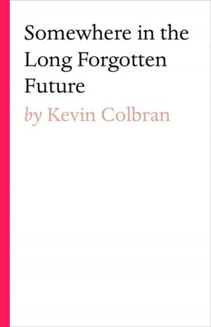 Cover of the book Somewhere in the long forgotten future by Peter Foye