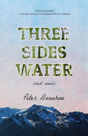 Cover of the book Three Sides Water by John Eliot Allen, Marjorie Burns, Scott Burns