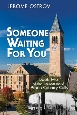 Cover of the book Someone Waiting for You by Igor Vasiliadis