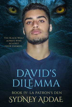Cover of the book David's Dilemma by Kate Walker