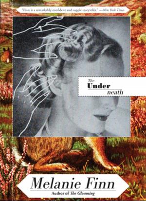 Cover of the book The Underneath by Joshua Mohr