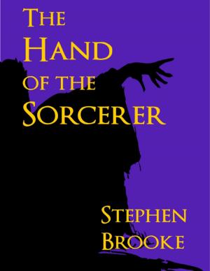 Cover of the book The Hand of the Sorcerer by Taylor Fenner
