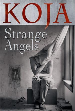Cover of the book Strange Angels by Phyllis Raphael