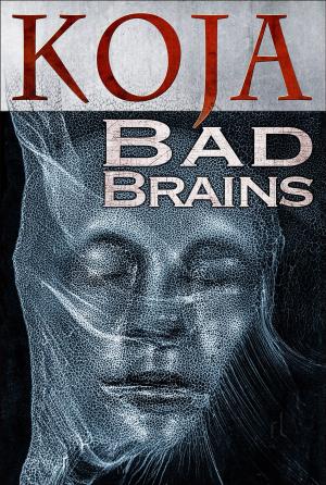 Cover of the book Bad Brains by Zelah Meyer
