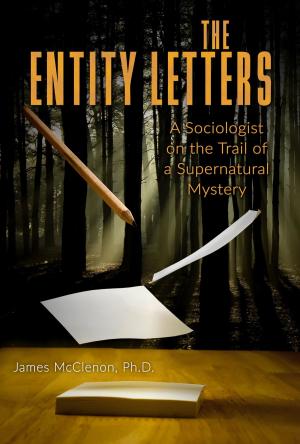 Cover of the book THE ENTITY LETTERS by Lyle Blackburn