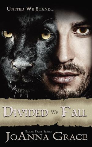 Cover of the book Divided We Fall by Patty Wiseman