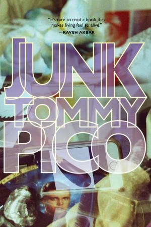 Book cover of Junk