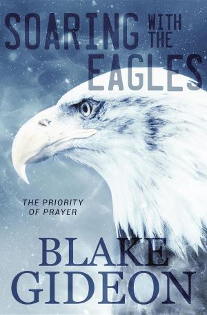 Cover of the book Soaring with the Eagles by Paddick Van Zyl