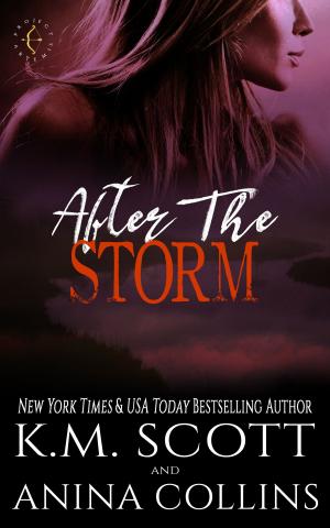 Cover of the book After The Storm by Rebecca Sherwin