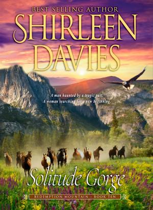 Cover of the book Solitude Gorge by Shirleen Davies