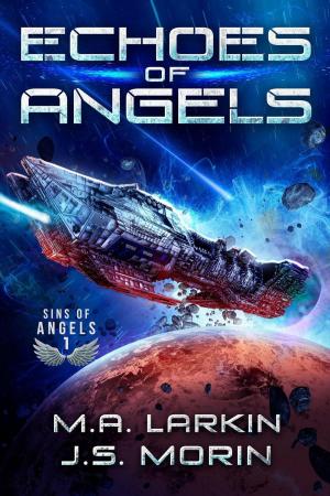 Cover of the book Echoes of Angels by Scott Cimarusti