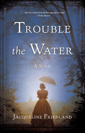 Cover of the book Trouble the Water by J.C. Loen