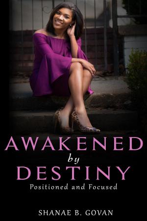 Cover of the book Awakened By Destiny by Paddick Van Zyl