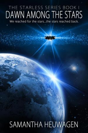 Cover of the book Dawn Among the Stars by K.M. Riley