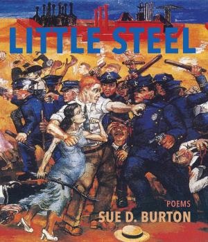 Cover of the book Little Steel by Scott Archer Jones