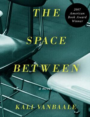 Cover of the book The Space Between by Maggie Marr