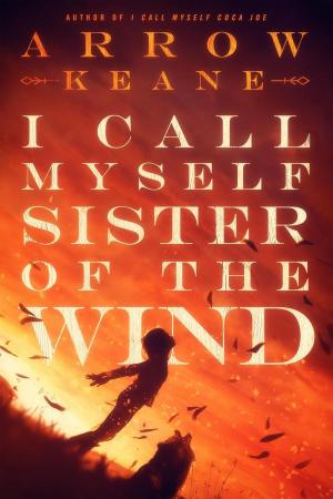 Cover of the book I Call Myself Sister of the Wind by Cheryl Bruder