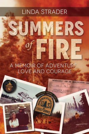 Cover of the book Summers of Fire by Laurie Salzler