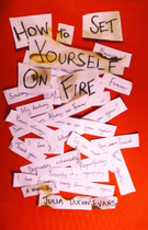 Cover of the book How to Set Yourself on Fire by Pamela Ryder