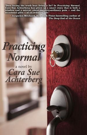 Cover of the book Practicing Normal by Tom Avitabile