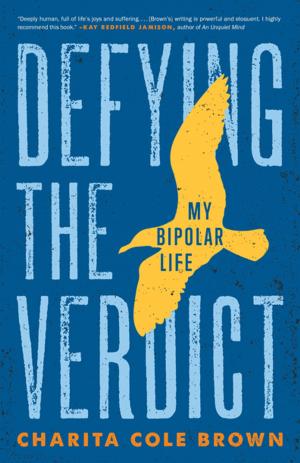Cover of the book Defying the Verdict by Vanessa Blakeslee