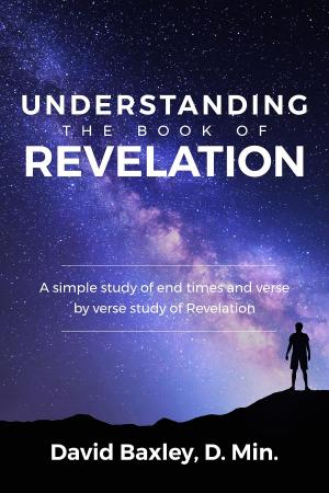 Cover of the book Understanding the Book of Revelation by Ronald  E Fessenden