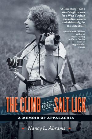 Cover of the book The Climb from Salt Lick by Elizabeth Ransom