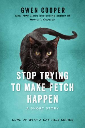 Cover of the book Stop Trying to Make Fetch Happen by Kim Campbell