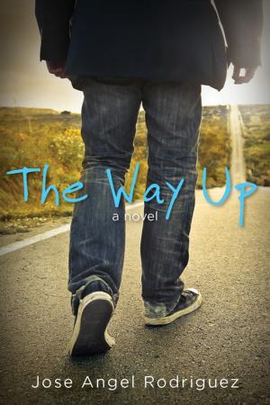 Cover of the book The Way Up by Peggy Miracle Consolver