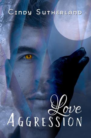 Cover of the book Love Aggression by Marteeka Karland