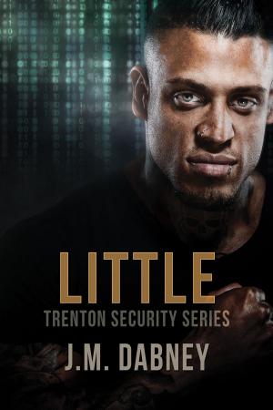 Cover of the book Little by Lindsey May