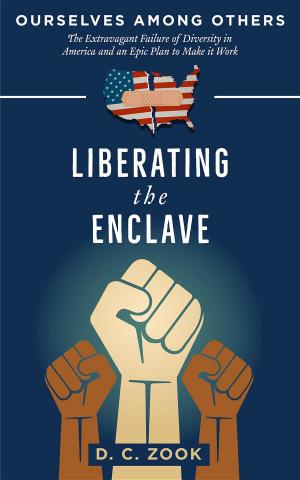Cover of Liberating the Enclave