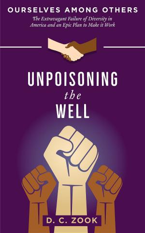 Cover of the book Unpoisoning the Well by Daniele Agli