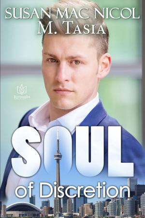 Book cover of Soul of Discretion