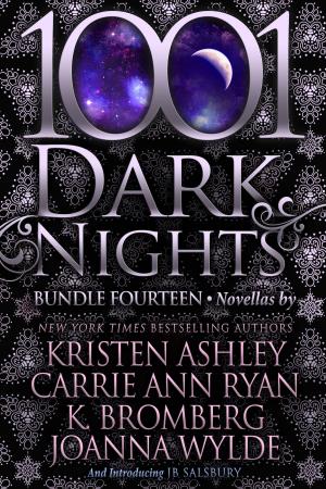 Cover of the book 1001 Dark Nights: Bundle Fourteen by Larissa Ione, Rebecca Zanetti, Lisa Mondello, Dee Davis