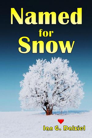 Cover of the book Named for Snow by Sloan McBride