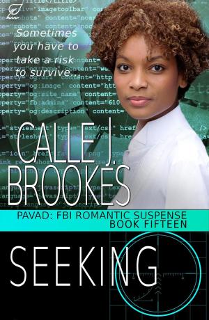 Book cover of Seeking