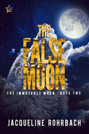 Cover of the book The False Moon by Asta Idonea