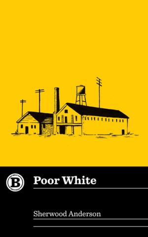 Book cover of Poor White