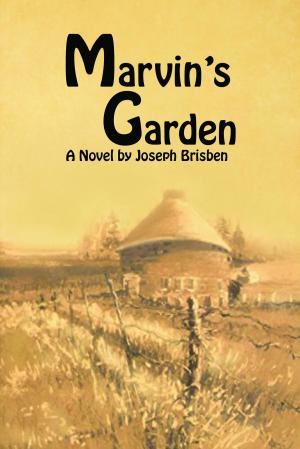 Book cover of Marvin's Garden