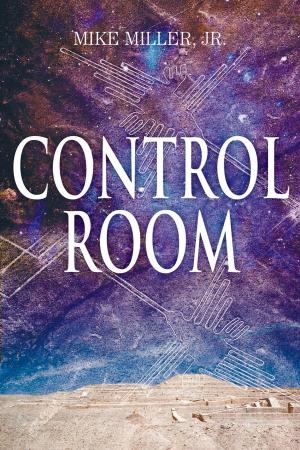 Cover of the book Control Room by Eti Elbot