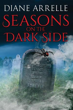 Cover of the book Seasons On The Dark Side by Anthony B. Hall