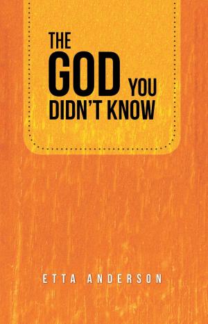 Cover of the book The God You Didn't Know by Timothy R. Bartlett