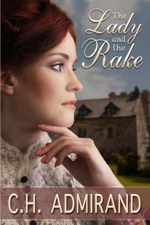 Cover of the book The Lady and The Rake by M.H. Lee