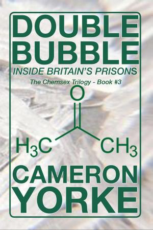 Cover of the book Double Bubble - Inside Britain's Prisons by Arnold Beizer