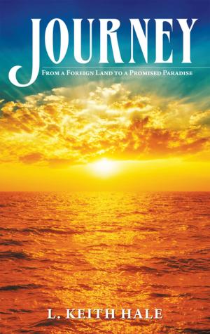 Cover of the book Journey by P. Scotty Dolinger