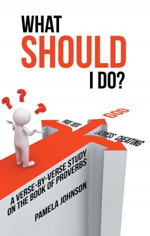 Cover of the book What Should I Do? by Donnell A Outlaw