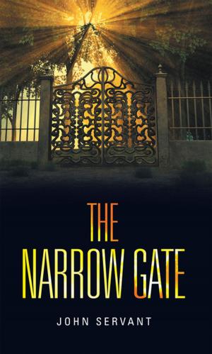 Cover of the book The Narrow Gate by Hannah Goldstein Ford