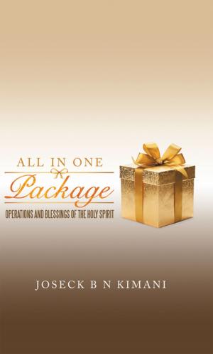 Cover of the book All in One Package by Lillie Ann Scoggins Reynolds